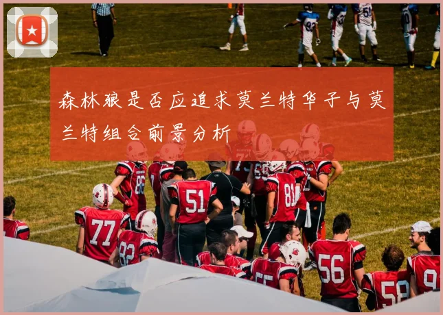 森林狼是否应追求莫兰特华子与莫兰特组合前景分析
